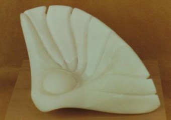 Sunshell Sunshell