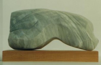 torso torso