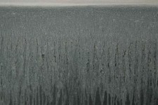 detail van landschap detail van landschap