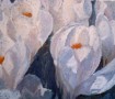 witte krokussen Kunstwerk witte krokussen