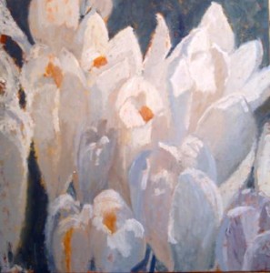 Witte krokussen 2 Witte krokussen 2