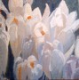 Witte krokussen 2 Kunstwerk Witte krokussen 2