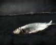 Fish on the dry Kunstwerk Fish on the dry