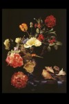 Bloem Stilleven Bloem Stilleven
