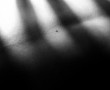 intimate dream 02 Kunstwerk intimate dream 02
