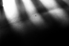 intimate dream 02 intimate dream 02