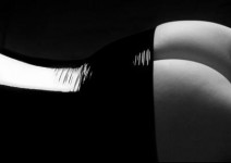 Latex #1 Latex #1