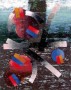 Les Pirenées Kunstwerk Les Pirenées