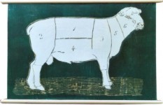Schaap groen. Schaap groen.