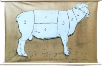 Schaap goud Schaap goud