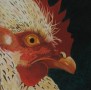 hen 2 Kunstwerk hen 2