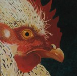 hen 2 hen 2
