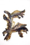 Minerality 2 Minerality 2