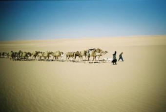 sahara Niger sahara Niger