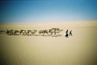 sahara Niger