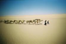 sahara Niger sahara Niger
