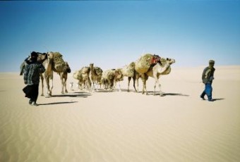 Sahara in niger