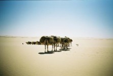 Sahara in Niger