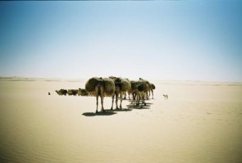 Sahara in Niger Sahara in Niger
