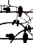 vogeltjes 1 vogeltjes 1