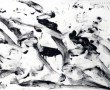 060602 Kunstwerk 060602