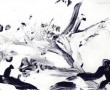 060529 Kunstwerk 060529