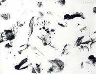 060604 060604