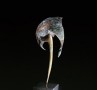 Vreemde vogel 3 Kunstwerk Vreemde vogel 3
