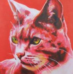 Rode Kater Rode Kater