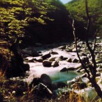 sublime landscape stenen rivier