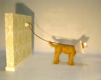 Hondlamp Hondlamp