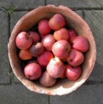 Wereldbeeld Wereldbeeld