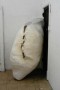 Species of Origin -00- Kunstwerk Species of Origin -00-