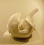 species of origin -0- foto (2/2) Kunstwerk species of origin -0- foto (2/2)