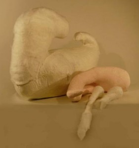 species of origin 1 (foto 1/2) species of origin 1 (foto 1/2)