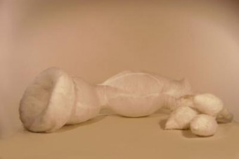 species of origin 2 (foto 1/2) species of origin 2 (foto 1/2)