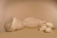 species of origin 2 (foto 1/2) species of origin 2 (foto 1/2)