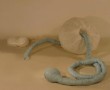 species of origin 4 Kunstwerk species of origin 4