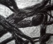 olijven 2 Kunstwerk olijven 2