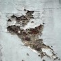 Doorgang Kunstwerk Doorgang