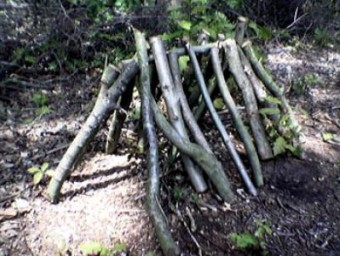 Tent Tent