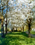 pinhole 3 pinhole 3