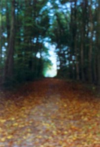 pinhole 4