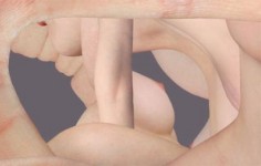 Fragmented Body Fragmented Body