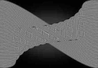 Plexouda Plexouda