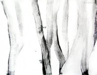 060628 060628
