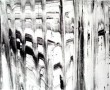060705 Kunstwerk 060705