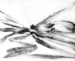 060708 Kunstwerk 060708