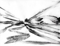 060708 060708