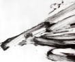 060709 Kunstwerk 060709
